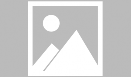 害羞草视频,揭秘植物界的“社交达人”